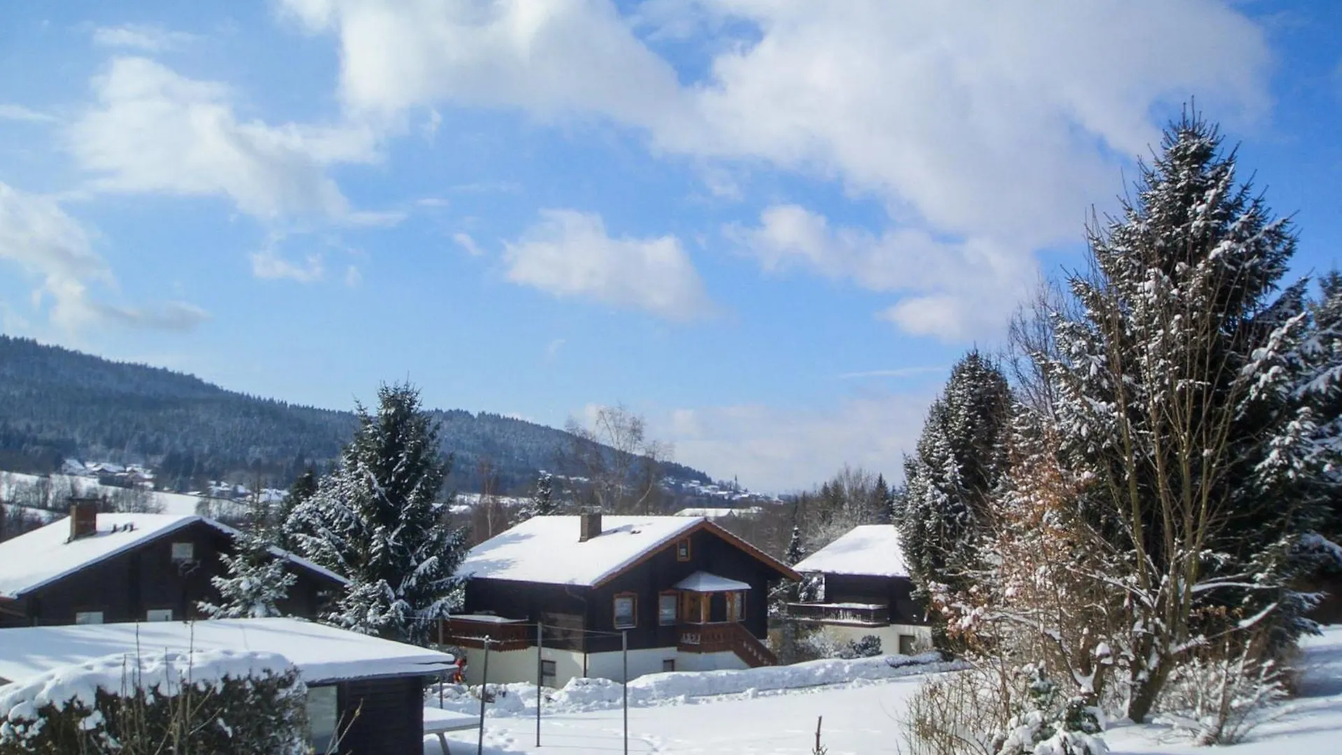 Holiday Home Am Hohen Bogen-74 By Interhome Arrach Germany